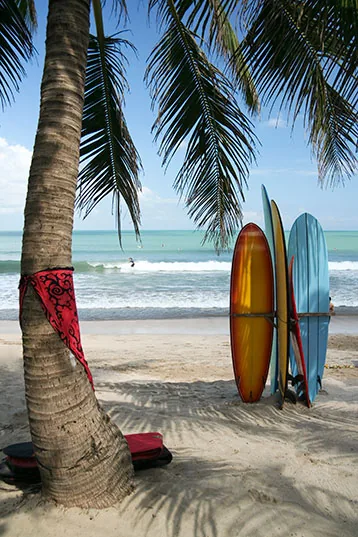 Surfing to me — Life With Wesley